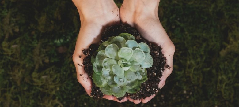 Nachhaltigkeitspreis 2026 Nachhaltigkeitspreis 2026