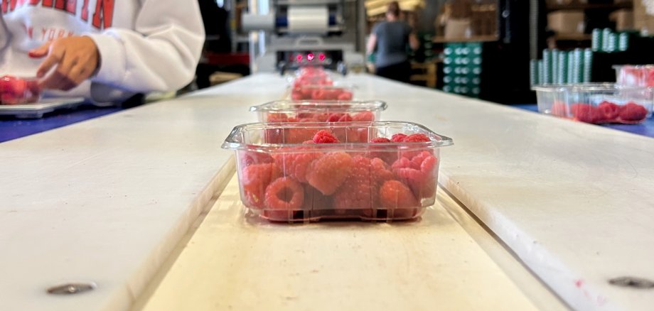 125g Hmbeeren, erntefrisch abgepackt.