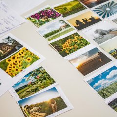 Fotowettbewerb VG Herxheim