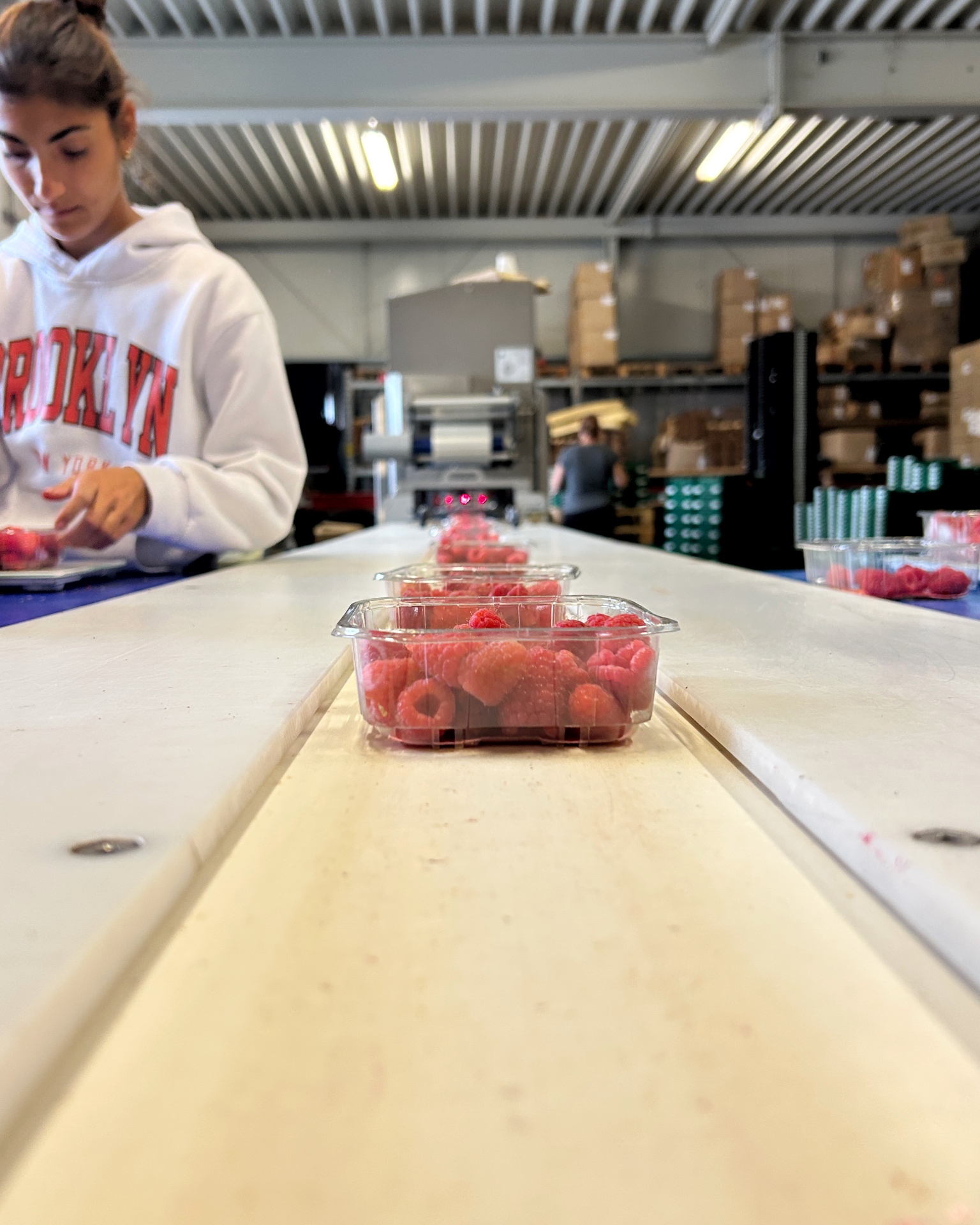 125g Hmbeeren, erntefrisch abgepackt.