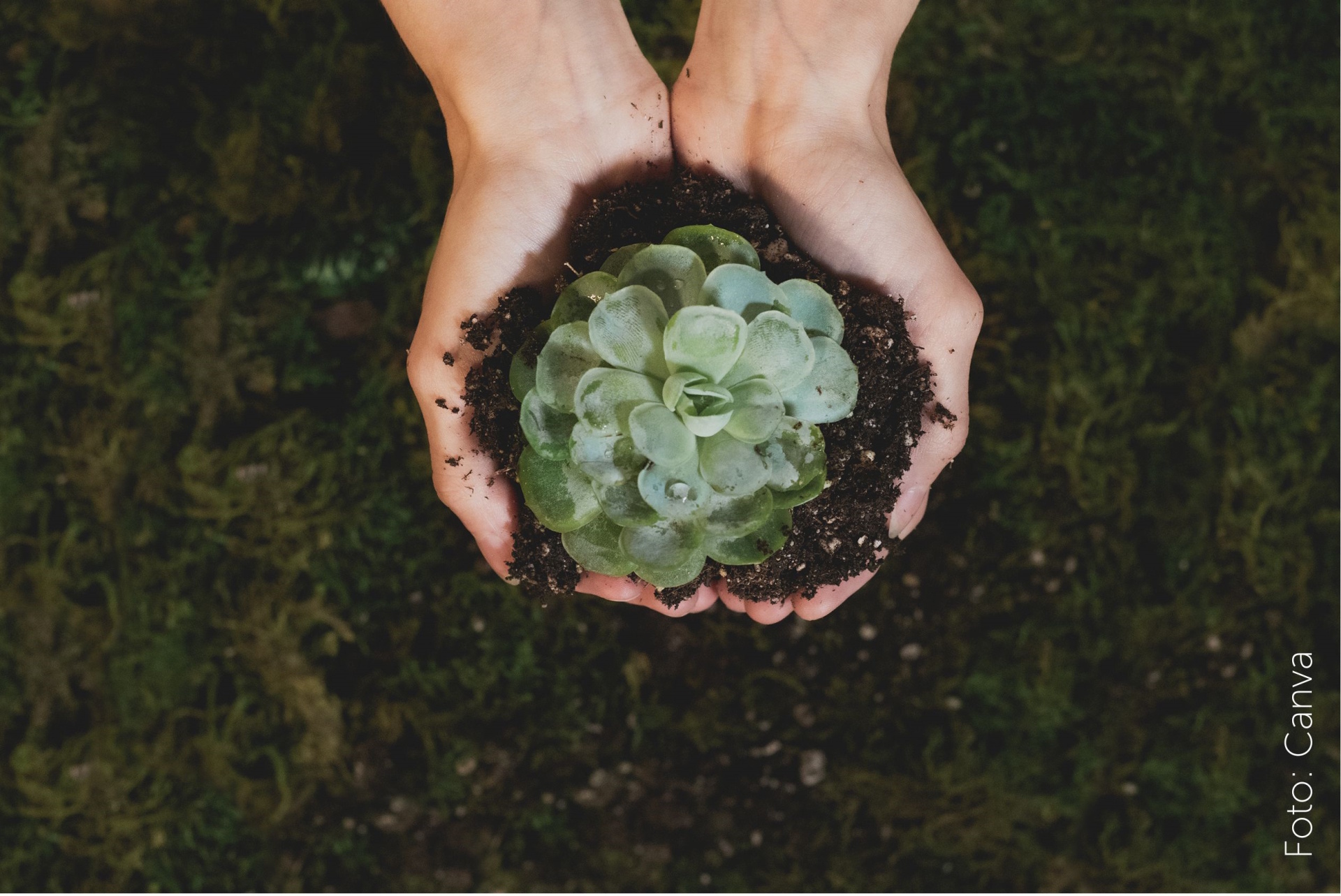 Nachhaltigkeitspreis 2026