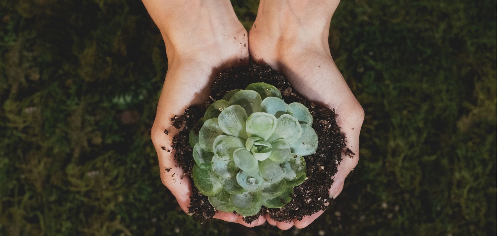 Nachhaltigkeitspreis 2026